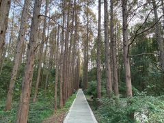 -同里国家湿地公园