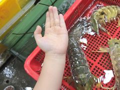 -拉威海鲜市场
