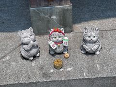 -中国湿地博物馆