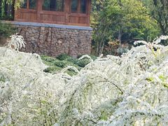 -中国茶叶博物馆(双峰馆区)