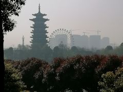 -洋湖国家湿地公园