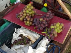 -乡乐园蟹庄·阳澄湖农家乐