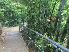 -众神白水涧景区