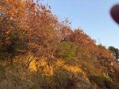 -敬亭山风景名胜区