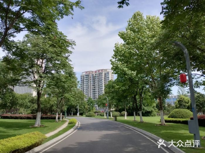 合肥生态公园图片