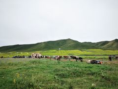 -扁都口生态休闲旅游区