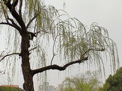 -黄兴公园