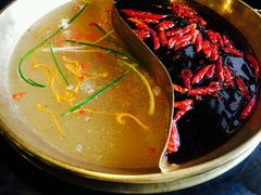 -杨家火锅(国美店)