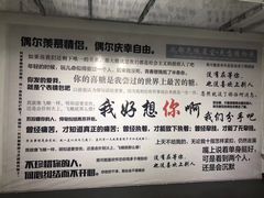-成都失恋馆