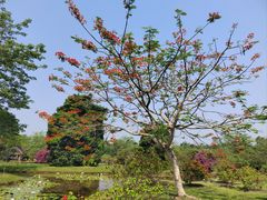 -中国科学院西双版纳热带植物园