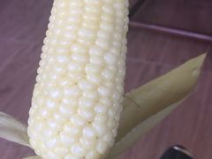 -南汇新场正宗水蜜桃采摘