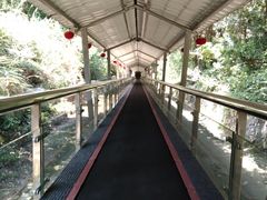 -富春桃源风景区