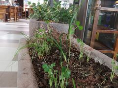 -阿嫂印象·民间江湖菜(大学城店)
