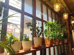 -Cafe Alice咖啡爱丽丝(奥城店)