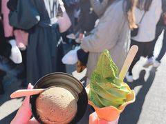 新品双拼冰激凌-鎌倉茶々(本店)