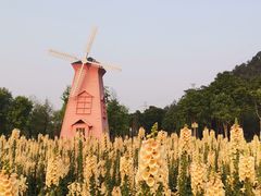 -顺峰山公园