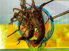 -碗中海·蒸汽海鲜·桑拿鸡(岭南天地店)