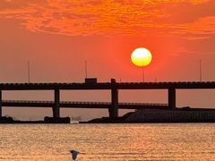 -宝安西湾红树林湿地公园