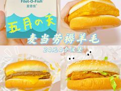 -麦当劳(农光里店)