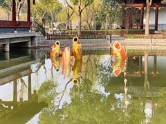 -南汇桃花村