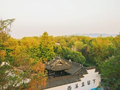 -西溪国家湿地公园