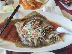 清蒸多宝鱼-碧丽宫大酒店(召稼楼店)