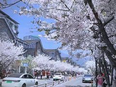 -老号尤兔头(幸福店)