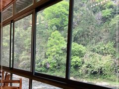 -七彩云酸水鱼(龙胜十七分店)