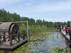 -溱湖国家湿地公园