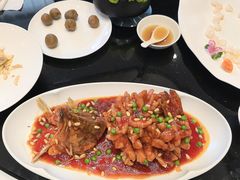 -新雅粤菜馆(南京东路店)