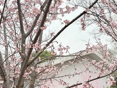 -自然谷恐龙园