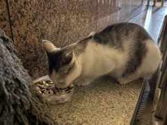 -蒲黄榆(地铁站)