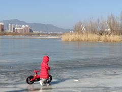 景点-永定河休闲森林公园