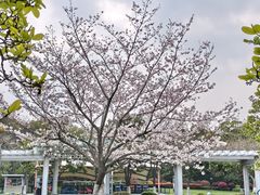 -闵行文化公园-停车场