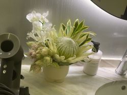 -明潪Selfology升维护理中心