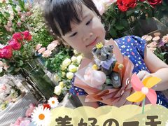 -谷莠子花艺·气球派对·绿植造景·花艺沙龙(金光华广场店)