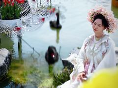 -荷兰花海