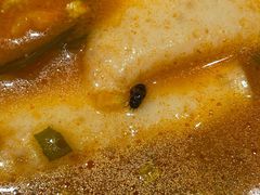 -张亮麻辣烫(北京马连道店)