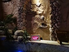 -泉城欧乐堡戏水湾艺术养生温泉