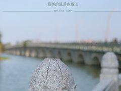 -三垟湿地