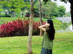 -王借岗森林公园