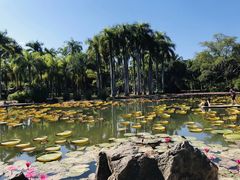 -中国科学院西双版纳热带植物园