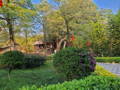 -森波拉火山温泉