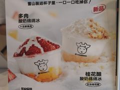 -一只酸奶牛(双流万达广场店)