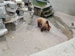 -保定市动物园