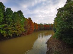 -上海海湾国家森林公园