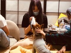 -逗柴咖啡屋·狗咖猫咖宠物桌游