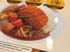 -COCO壱番屋(北京平安国际金融中心店)