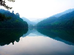 -江西阳明山国家森林公园