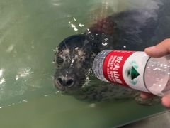 -重庆欢乐海底世界